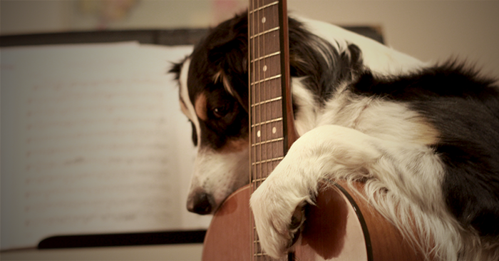 The Secret to Teaching Improvisation: Work Like a Dog