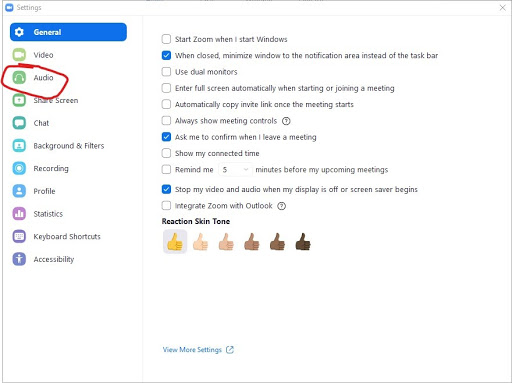 zoom settings